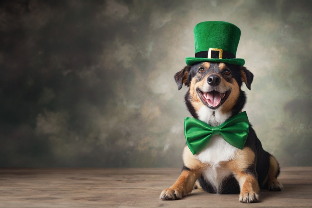 dog in st. patricks day costume