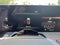 2025 INFINITI QX80 Autograph 4WD