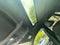 2023 Volkswagen Atlas Cross Sport 2.0T SEL